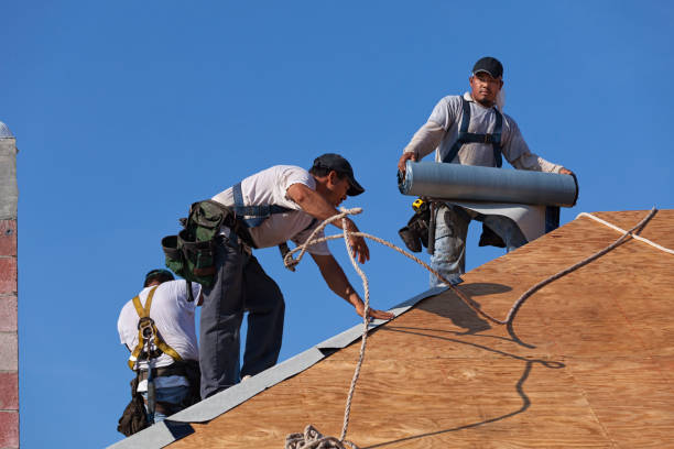Best Roof Gutter Cleaning  in Glasgow, DE